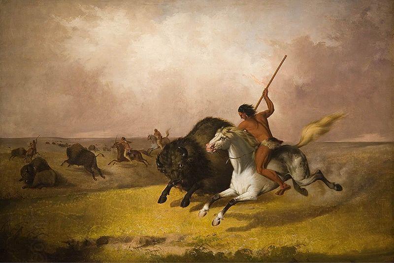 John Mix Stanley Buffalo Hunt on the Southwestern Prairies China oil painting art